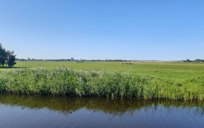 Ode aan onze 2 polders: Polder Oude Leede en de Zuid Polder van Delfgauw